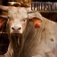 What are Clusters of Seizures? I remember the first time I was confronted with this term. Charley’s neurologist at the University of Texas told us he was having clusters of seizures […]